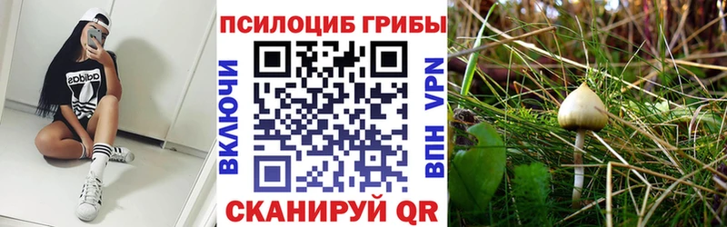 Купить где  Куса  Галлюциногенные грибы ЛСД 